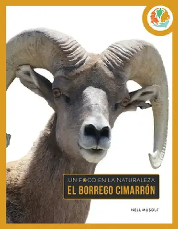 Cover of El Borrego Cimarrón