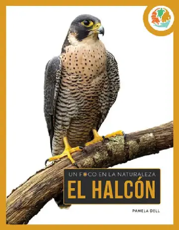 Cover of El Halcón