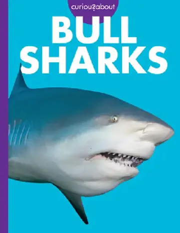 Cover of Curious about Bull Sharks