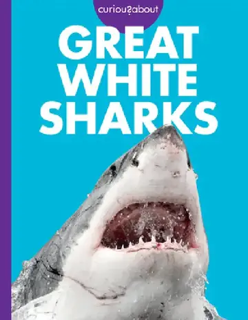 Cover of Curious about Great White Sharks