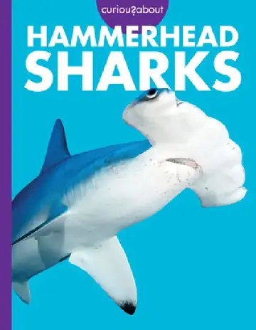 Cover of Curious about Hammerhead Sharks