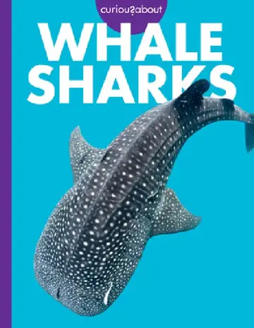 Cover of Curious about Whale Sharks