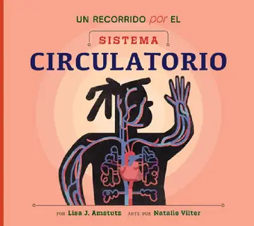 Cover of Un Recorrido Por El Sistema Circulatorio