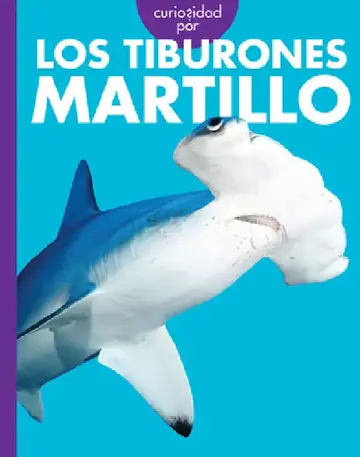 Cover of Curiosidad Por Los Tiburones Martillo