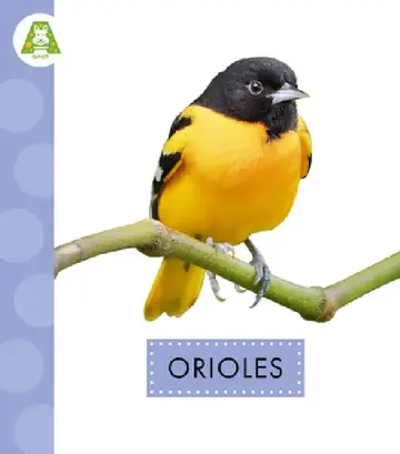 Cover of Orioles