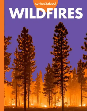 Cover of Curious about Wildfires