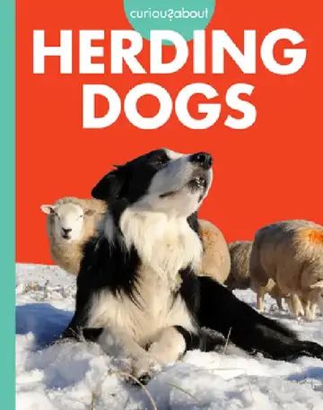 Cover of Curious about Herding Dogs