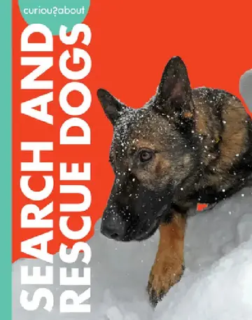 Cover of Curious about Search and Rescue Dogs