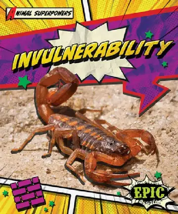 Cover of Invulnerability