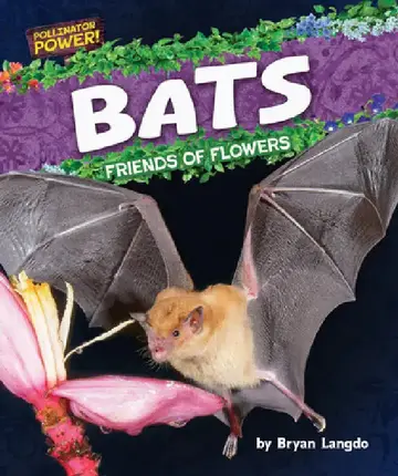 Cover of Bats