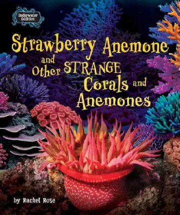 Cover of Strawberry Anemone and Other Strange Corals and Anemones