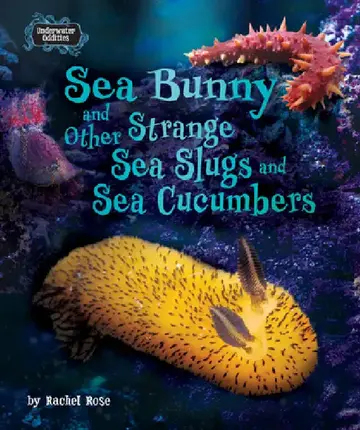 Cover of Sea Bunny and Other Strange Sea Slugs and Sea Cucumbers