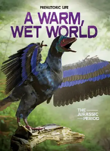 Cover of A Warm, Wet World
