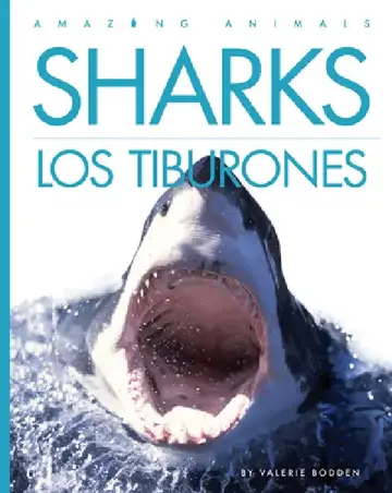Cover of Sharks / Los Tiburones
