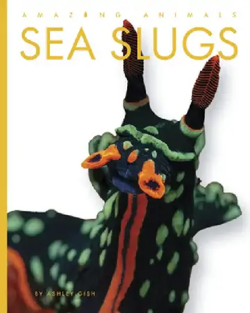 Cover of Sea Slugs