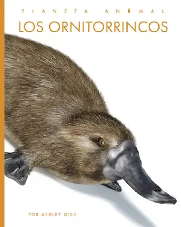 Cover of Los Ornitorrincos