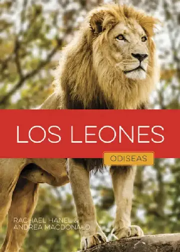 Cover of Los Leones