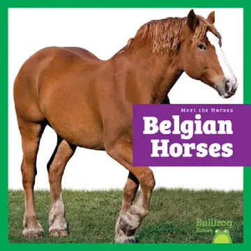 Cover of Belgian Horses