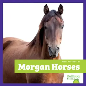 Cover of Morgan Horses