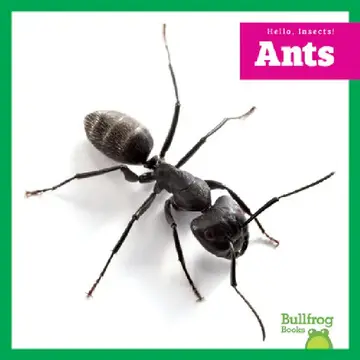 Cover of Ants