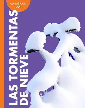 Cover of Curiosidad Por Las Tormentas de Nieve