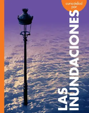 Cover of Curiosidad Por Las Inundaciones