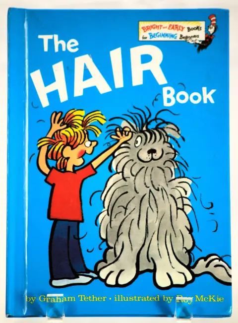Cover of The Hair Book