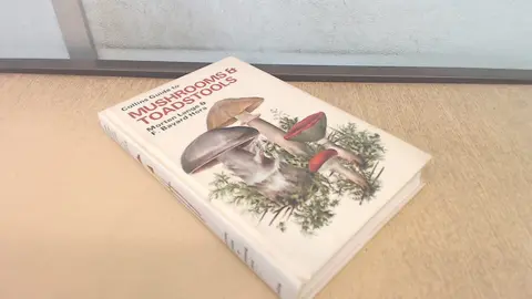 Cover of Field Guide to Mushrooms and Toadstools