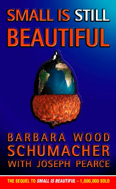 Cover of Small is Still Beautiful