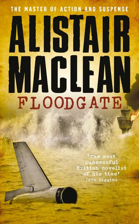 Cover of Floodgate