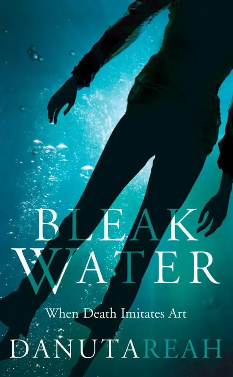 Cover of Bleak Water