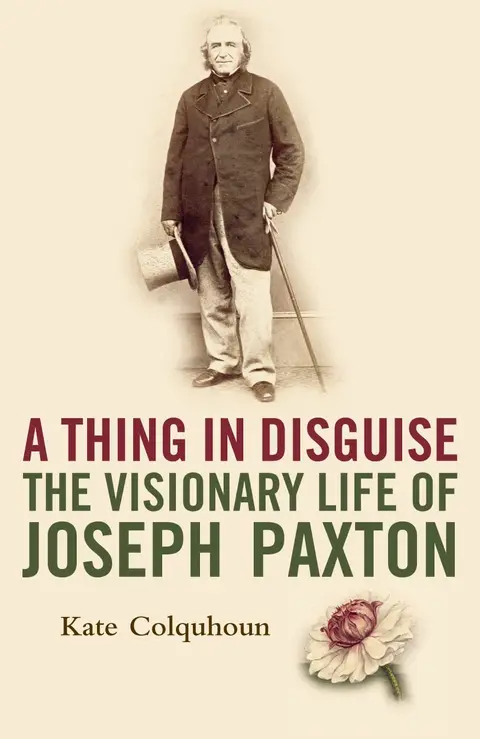Cover of A Thing in Disguise