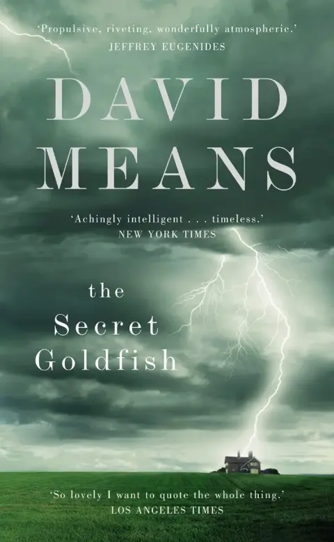 Cover of The Secret Goldfish