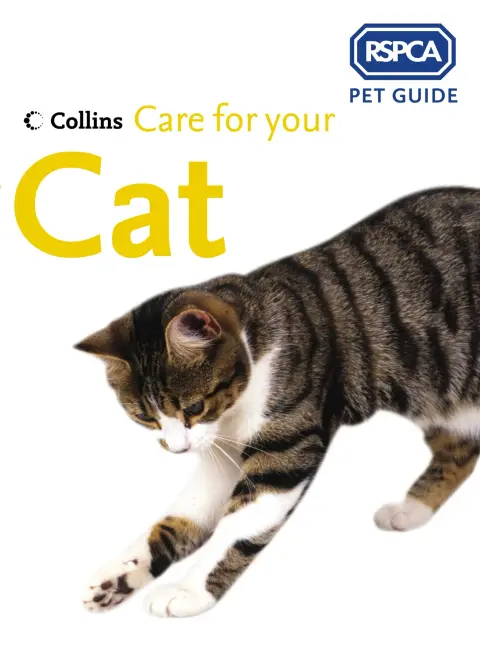 Cover of Care for Your Cat