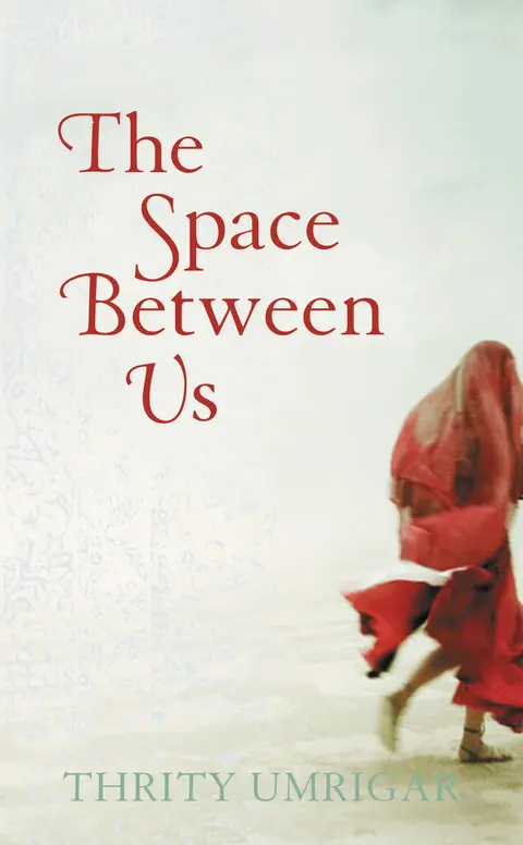 Cover of The Space Between Us