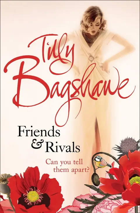 Cover of Friends and Rivals