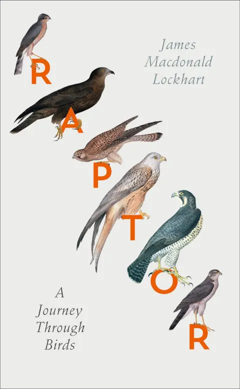 Cover of Raptor