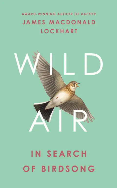 Cover of Wild Air