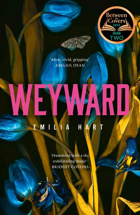 Cover of Weyward
