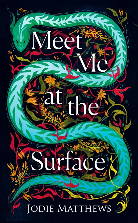 Cover of Meet Me at the Surface