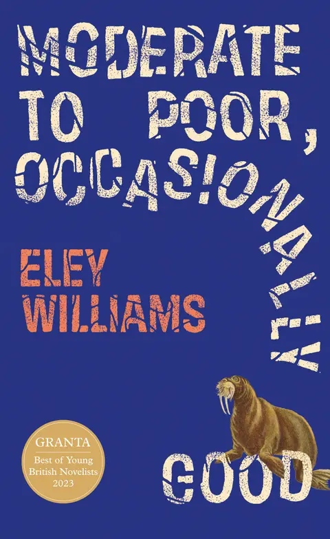 Cover of Moderate to Poor, Occasionally Good
