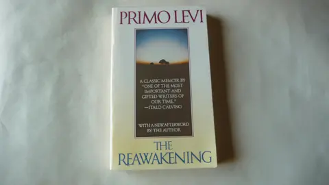 Cover of The Reawakening