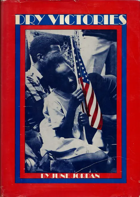 Cover of Dry Victories