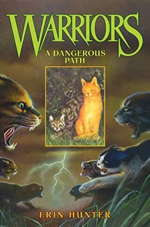 Cover of Warriors #5