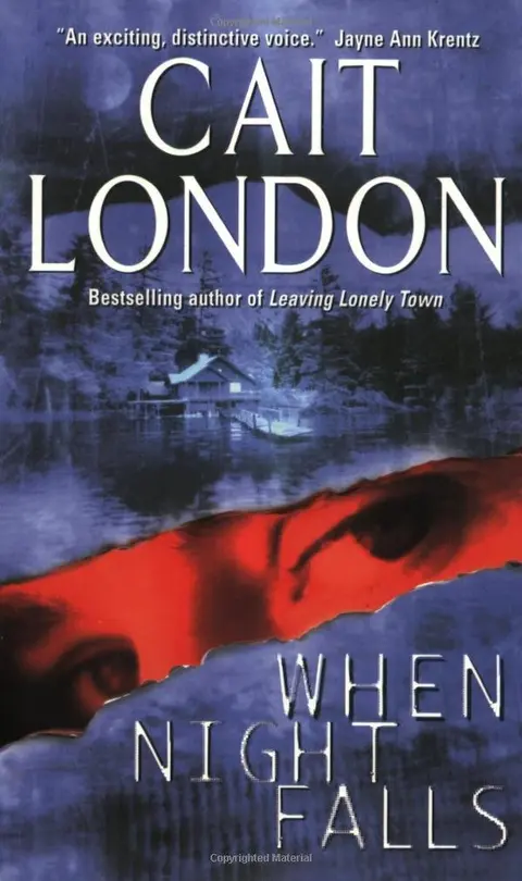 Cover of When Night Falls