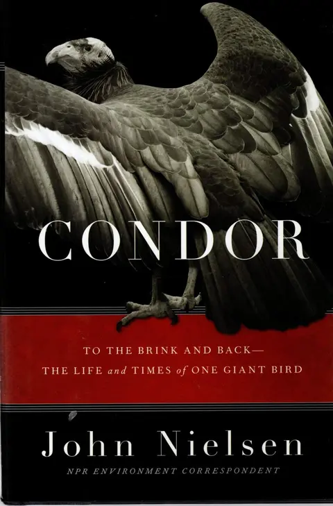 Cover of Condor