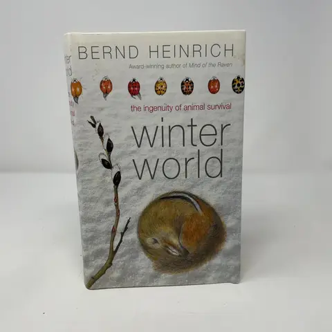 Cover of Winter World