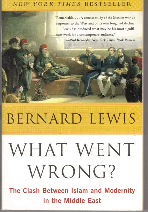 Cover of What Went Wrong?
