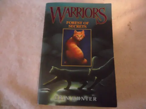 Cover of Warriors #3