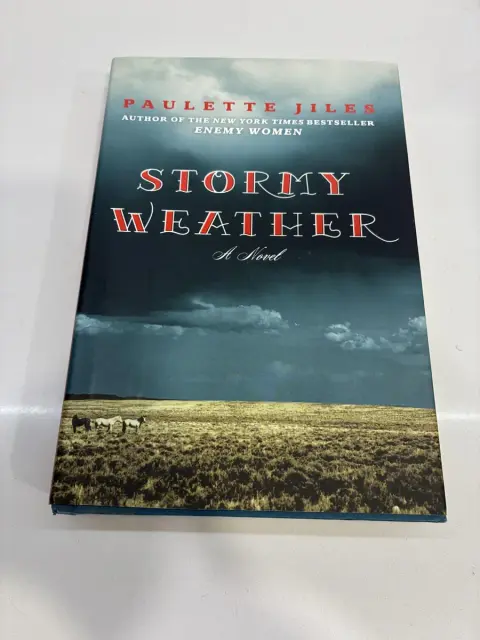 Cover of Stormy Weather